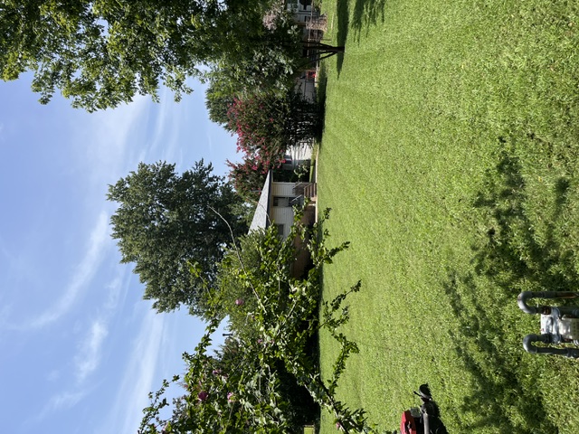 Large backyard freshly mowed with mower in frame